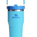 Stanley IceFlow Flip